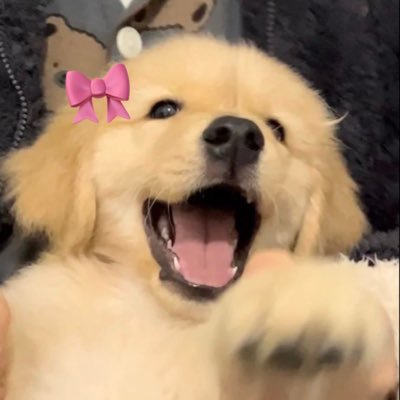 aoroluvsatang01's profile picture. 16/05/67 WNST🤎🩵 ถ้าอยากฟอลกลับอันนิน้า ( @Uarmy_sunshine )