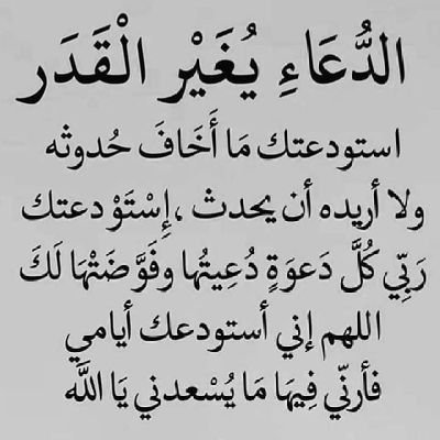 EeEee1453689's profile picture. 