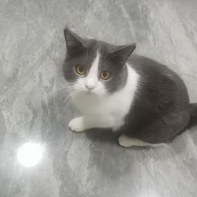 li_lao37238's profile picture. 