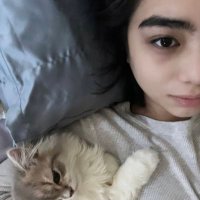 arci (@mikhceylog) 's Twitter Profile