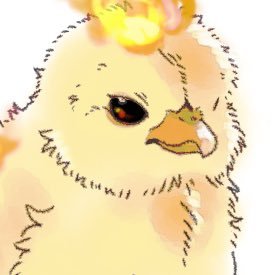 🐥⸒⸒さんのプロフィール画像