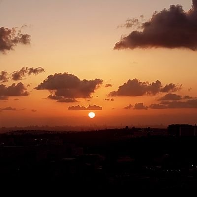 baraksaar's profile picture. 