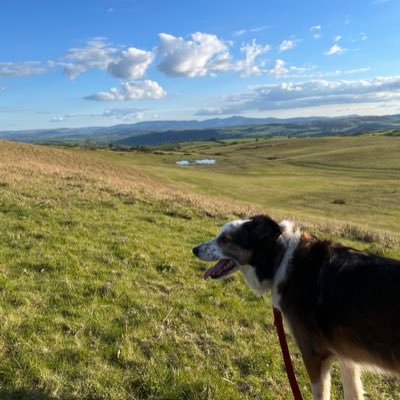 JayShips24's profile picture. 