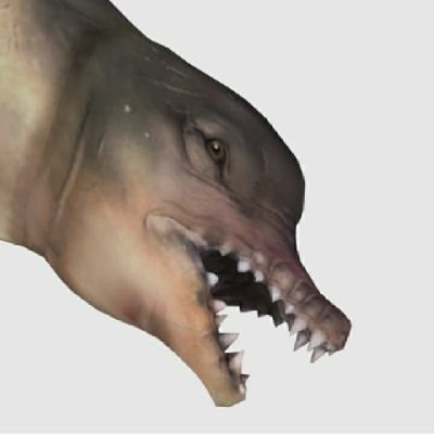 SirUncleDolan's profile picture. I suffer from a birth defect; I was born without chill
https://t.co/exeyDEnsVh