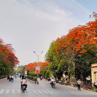 STUDENT OF BANARAS HINDU UNIVERSITY (bhuian)
क्षत्रिय धर्म युगे: युगे: ⚔️🚩