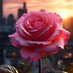 Nashreen Praveen (@nashreen__0) Twitter profile photo Nashreen Praveen (@nashreen__0) Twitter profile photo