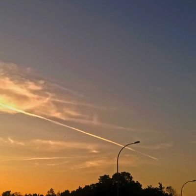 Rayn28102005's profile picture. kepo