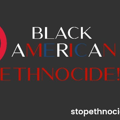 Stop Black American Ethnocide Profile