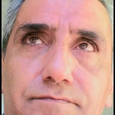 navidferi7's profile picture. 