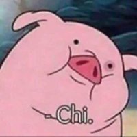 Puercochii (@puercochii) 's Twitter Profile