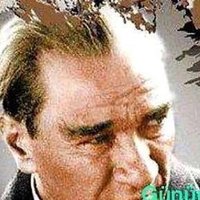 hllcygn (@hllcygn) 's Twitter Profile Photo