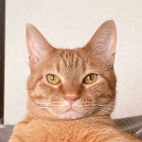 ゴヌ (@kunwoo_97) 's Twitter Profile