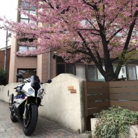 Reiko Nakajima (@oliver_lis54893) 's Twitter Profile