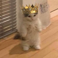 D.5mbK (@bitcoindeee) 's Twitter Profile