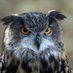 RotterdamseUil (@rotterdamse_uil) Twitter profile photo RotterdamseUil (@rotterdamse_uil) Twitter profile photo