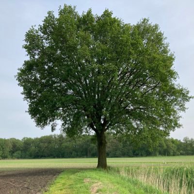 Trotse moeder van 2 jongens. Gezond verstand, voor democratie,vrijheid en boeren