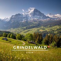 Grindelwald(@GrindelwaldCH) 's Twitter Profile Photo
