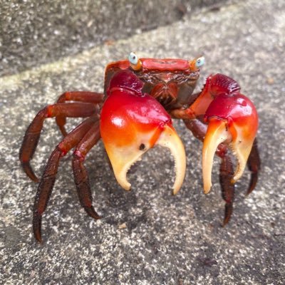 田中さんのプロフィール画像