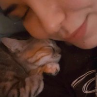 Dima ElHajj (@dimahajj0) 's Twitter Profile