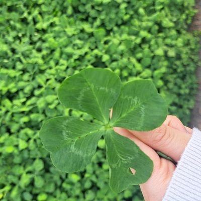 20↑ INFJ 6w5 趣味と暮らし、学び直し☘️ お茶 読書(絵本・児童文学・詩がメイン)自然 食 アート 🐭🏰 enst🪷🐍敬人推し(2020.9~) 🦇🪷寄り ゆる学用例 ハリポタ(魔法界)