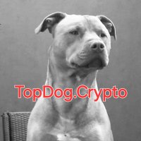 TopDog.Crypto(@TopDog_Crypto) 's Twitter Profile Photo