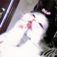 微型机器小羊. (@sheepkillerrrr) 's Twitter Profile