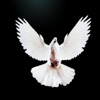 Jasmin (@rusalkaaklasur) Twitter profile photo