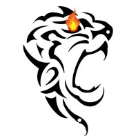 ZYGER FIT (@zygerfit) 's Twitter Profile