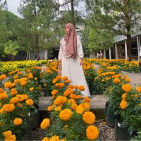 Hello, its me. (@intanprajaindra) 's Twitter Profile