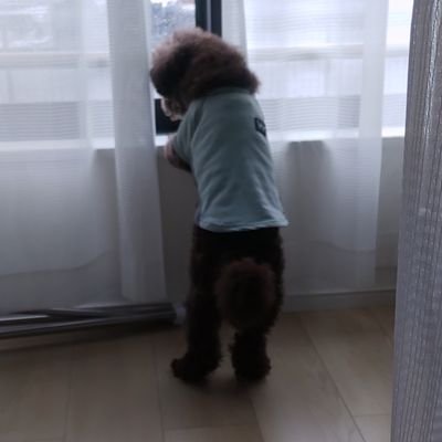 アイナナアカ。最近まほやく始めました。とっくに成人済。トリガー箱推しだけど、みんな好きヽ(´▽`*)ゝ紡受が大好物なNL好きです。元気に狂ってる社畜オタク
