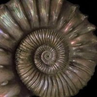م (@m_aalth) 's Twitter Profile Photo م (@m_aalth) 's Twitter Profile Photo