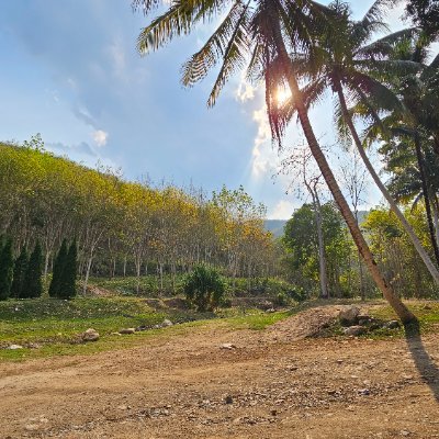 PrinSpk's profile picture. From Thailand. Studying MBA