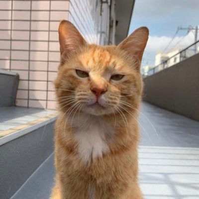 NStayyung's profile picture. gg well play that what u say

Nitrograph