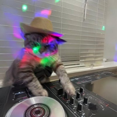 DJCAT COMMUNITY $DJCAT Profile