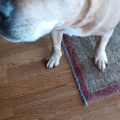 Tessie2222's profile picture. 