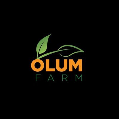 Growing the Largest Organic Vegetable Farm in Africa! Member of The OLUM GROUP. Dare to Believe 🌱