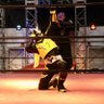 deathbalzerong's profile picture. 悪の組織デスバル制御不能の仮面の破壊者デスバルゼロングとは俺の事。変身前は竜海橋之介。Dark side moon🌙必殺技deathbalストンパイルドライバー deathティーノ⚡️プロレスは最高だ⚡️ https://t.co/BpqbzO95mJ