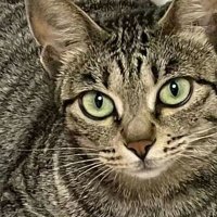 Weimar_29 (@weimar_29) 's Twitter Profile