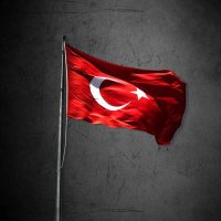 Volkan Güzelyurt (@volkanguzelyurt) Twitter profile photo