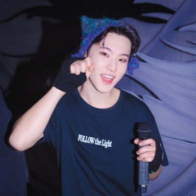 SEVENTEEN  01 Hoshi 🐯