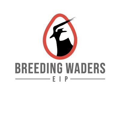 Breeding Waders EIP Project