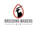Breeding Waders EIP Project (@BreedingWaders) Twitter profile photo
