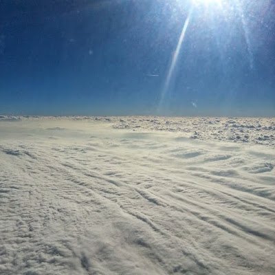 RolandoDia55747's profile picture. 