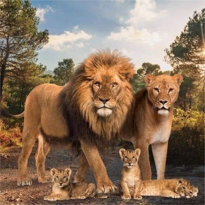 Omid_azizi1's profile picture. Retweets are not endorsements.