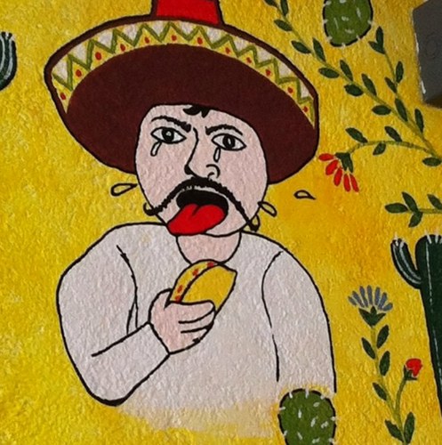 Wildinbaja's profile picture. Humor, Tours and travel info in Baja