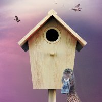 clare prenton (@clareprenton) 's Twitter Profile Photo clare prenton (@clareprenton) 's Twitter Profile Photo