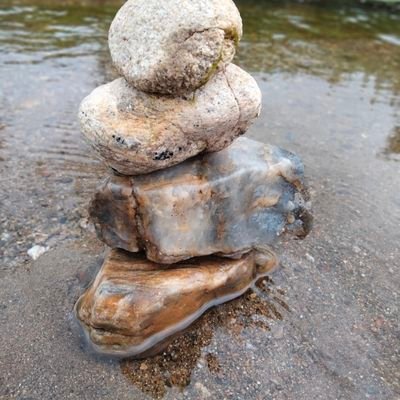 rahmani_radia's profile picture. 