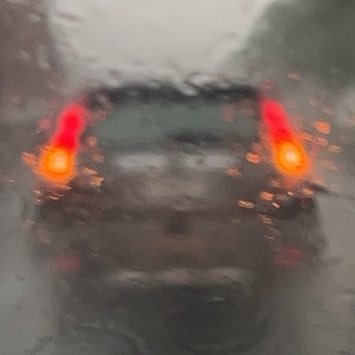 Midify499031's profile picture. 