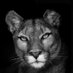 Madawi (@mdhawi345) Twitter profile photo Madawi (@mdhawi345) Twitter profile photo