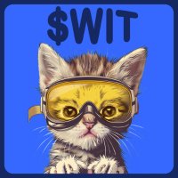 Cat Wit Goggle(@witcto) 's Twitter Profile Photo